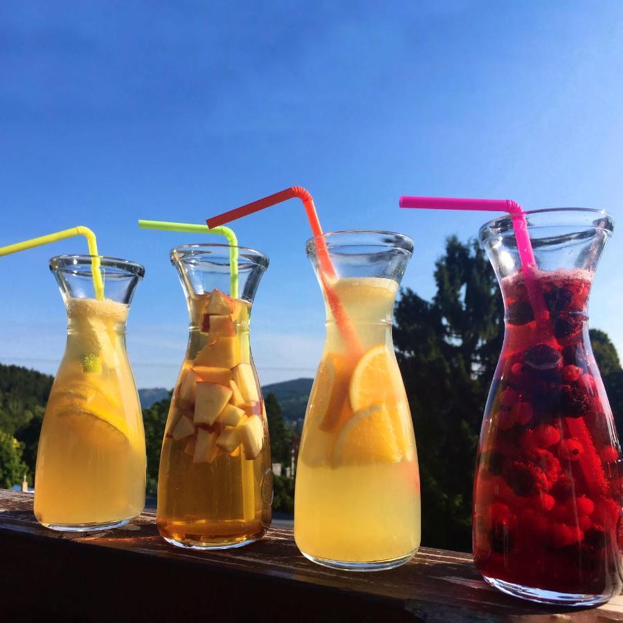 Hotel Peklo Pro Rodiny S Detmi Josefŭv Dŭl Dış mekan fotoğraf